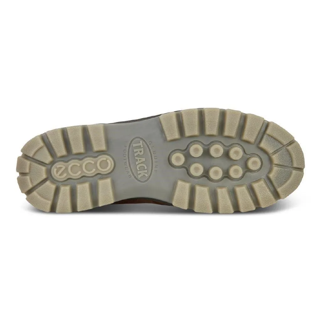 ECCO Hommes 831704 Track 25 Hi GORE-TEX Marron Cuir