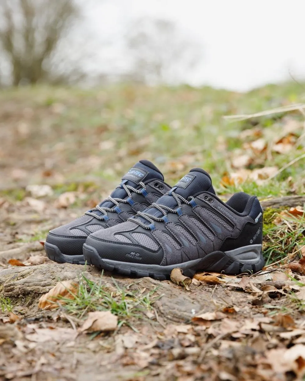 Chaussures Hi-Tec Bottes Basses Corzo pour Homme
