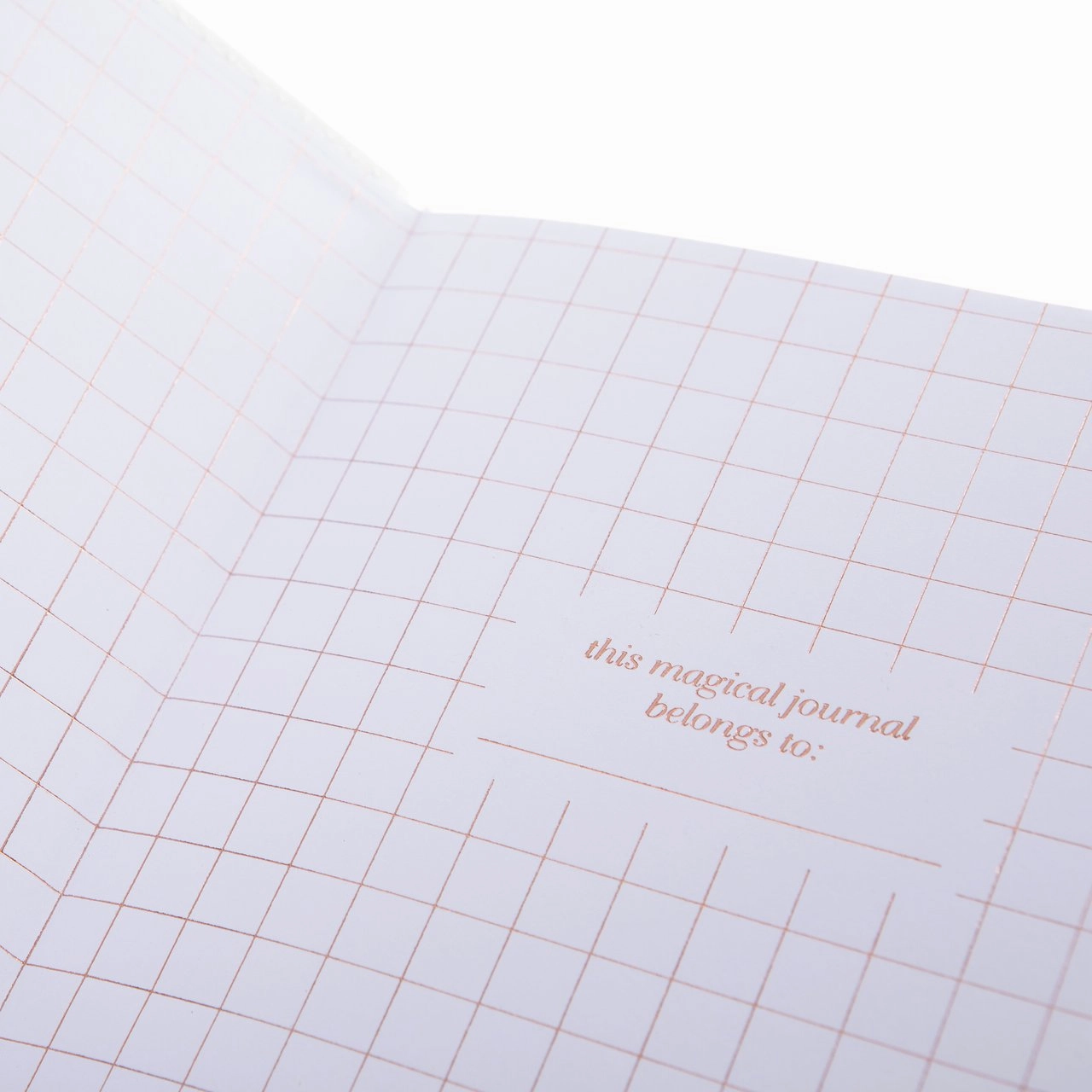 Snap Journal - Pearl With Rose Gold Dots