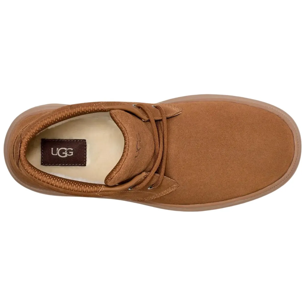UGG Chukka pour Homme Burleigh Marron