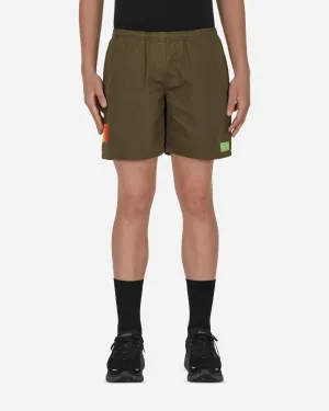 Water Shorts Green